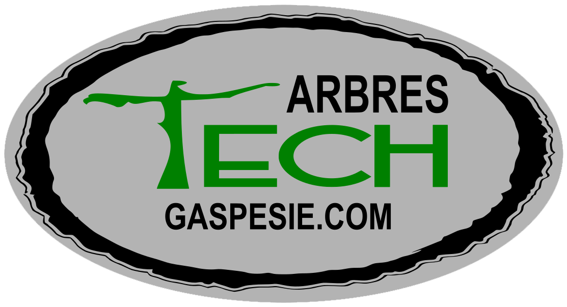 Arbres Tech Gaspésie